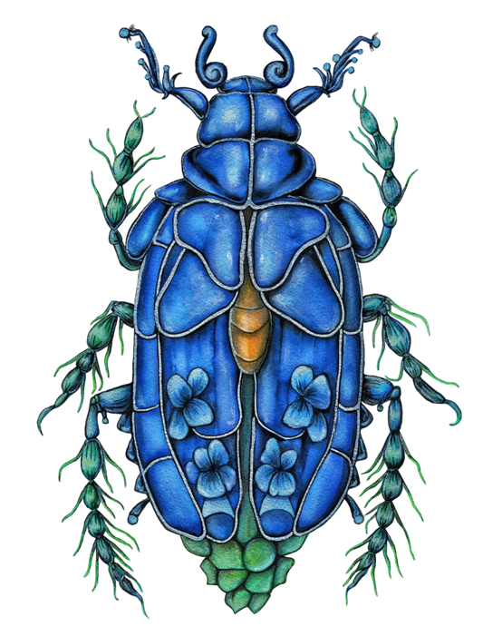 Blue Corn Scarab Vinyl Sticker