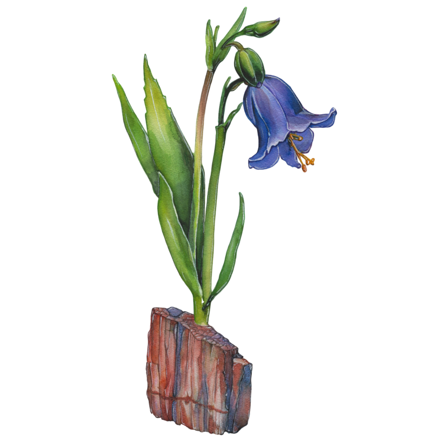 Desert Blue Bell & Petrified Wood Vinyl Sticker