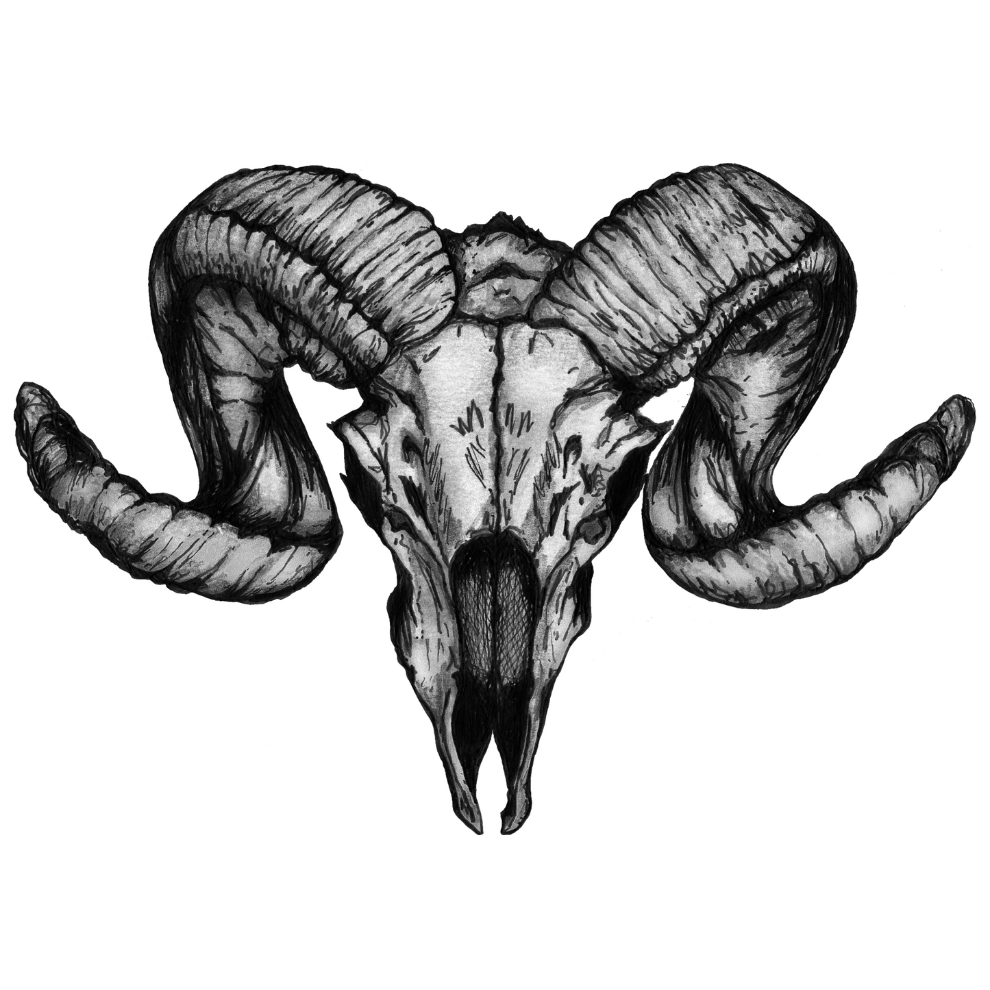 Desert Ram Vinyl Sticker