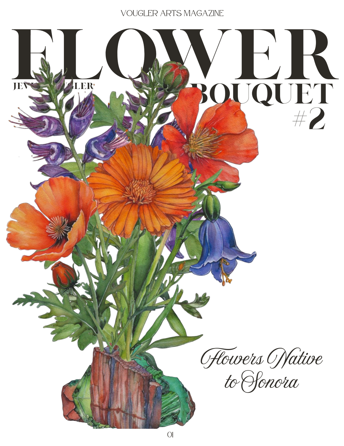 Volume 6 magazine interior page featuring colorful Sonoran flowers